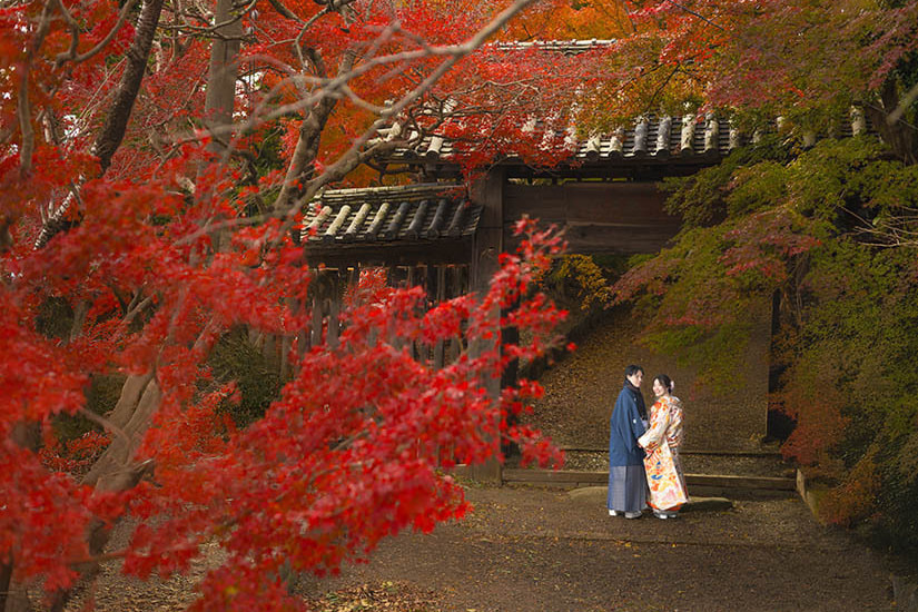 丈六寺 紅葉